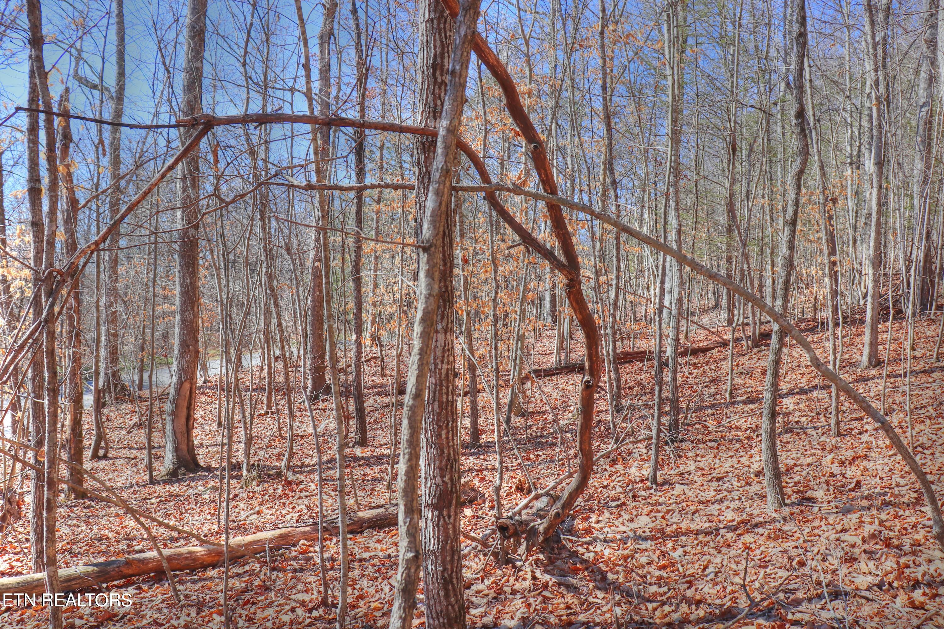 Lot 139 Whistle Valley Road New Tazewell, TN 37825 - Photo 11 of 28 Lot 139 Whistle Valley Rd