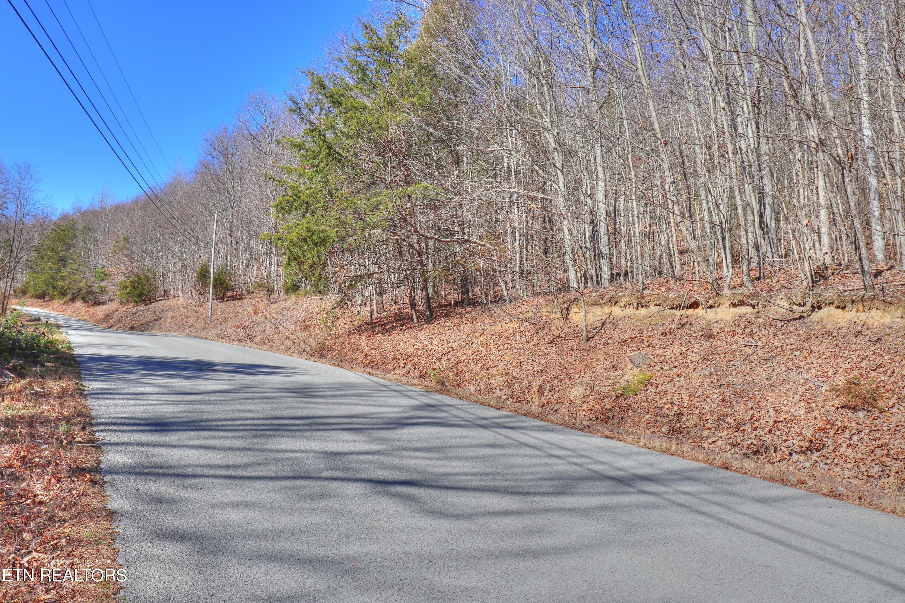 Lot 139 Whistle Valley Road New Tazewell, TN 37825 - Photo 12 of 28 Lot 139 Whistle Valley Rd