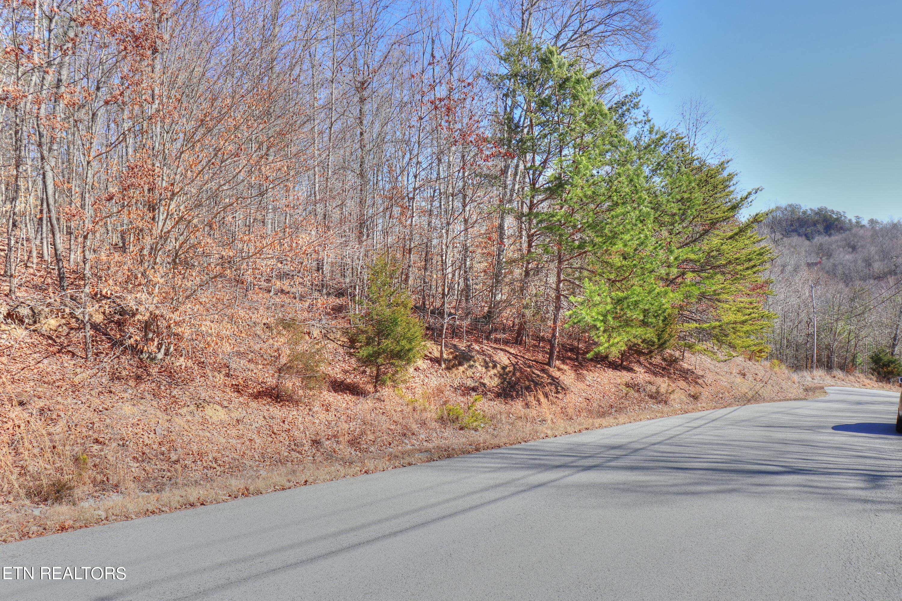 Lot 139 Whistle Valley Road New Tazewell, TN 37825 - Photo 13 of 28 Lot 139 Whistle Valley Rd