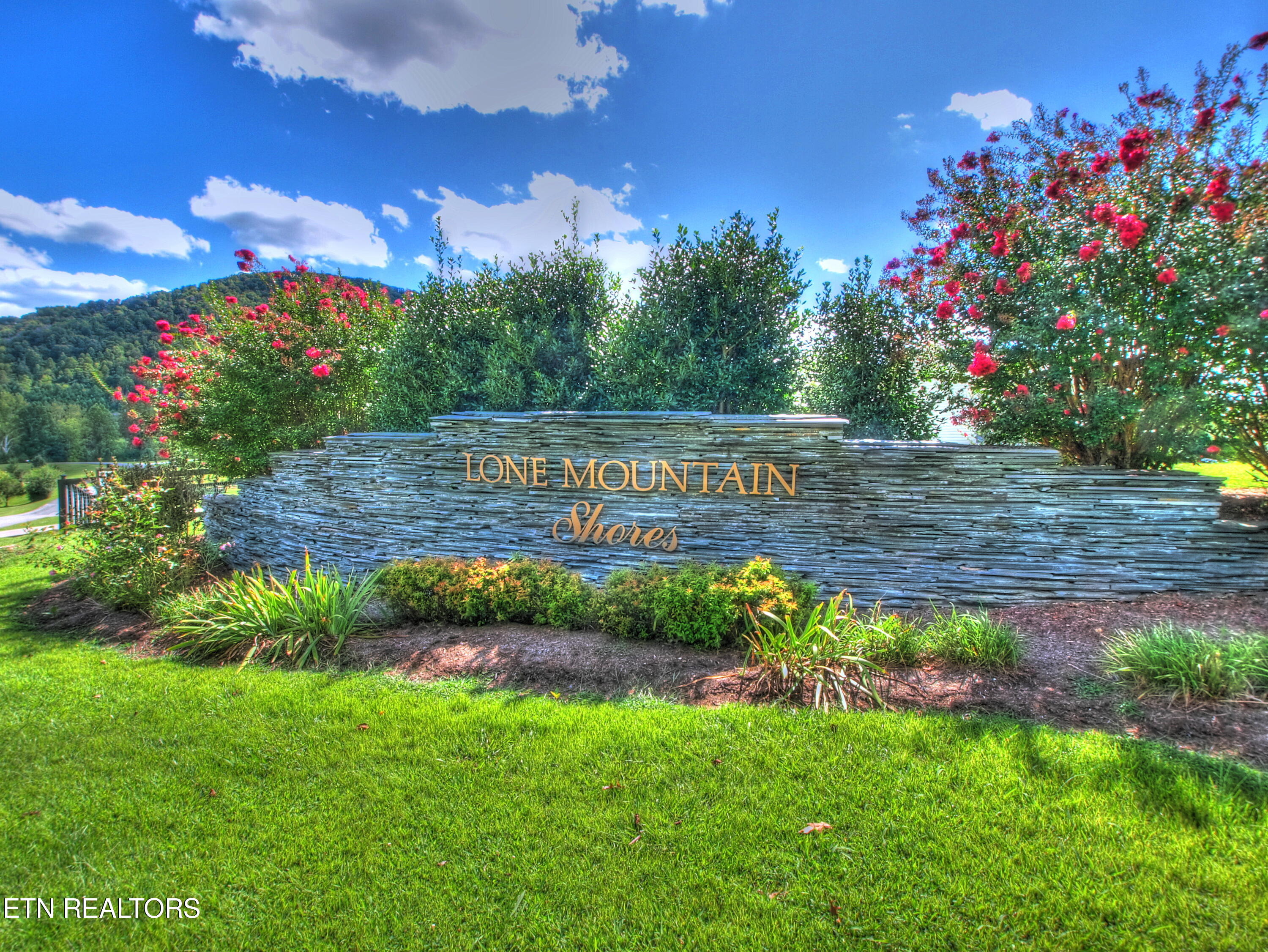 Lot 139 Whistle Valley Road New Tazewell, TN 37825 - Photo 15 of 28 Community entrance