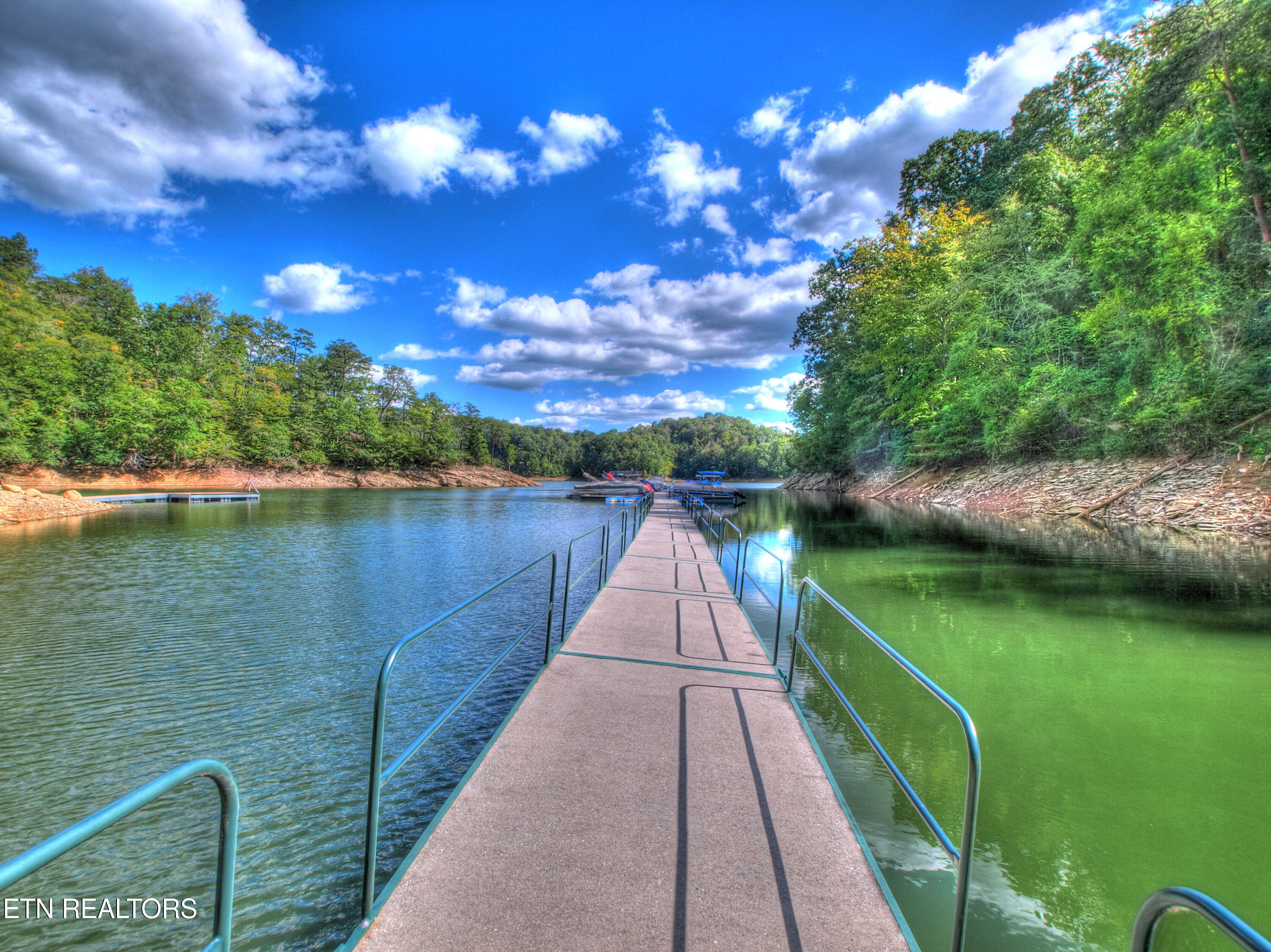 Lot 139 Whistle Valley Road New Tazewell, TN 37825 - Photo 17 of 28 Boat dock area 1