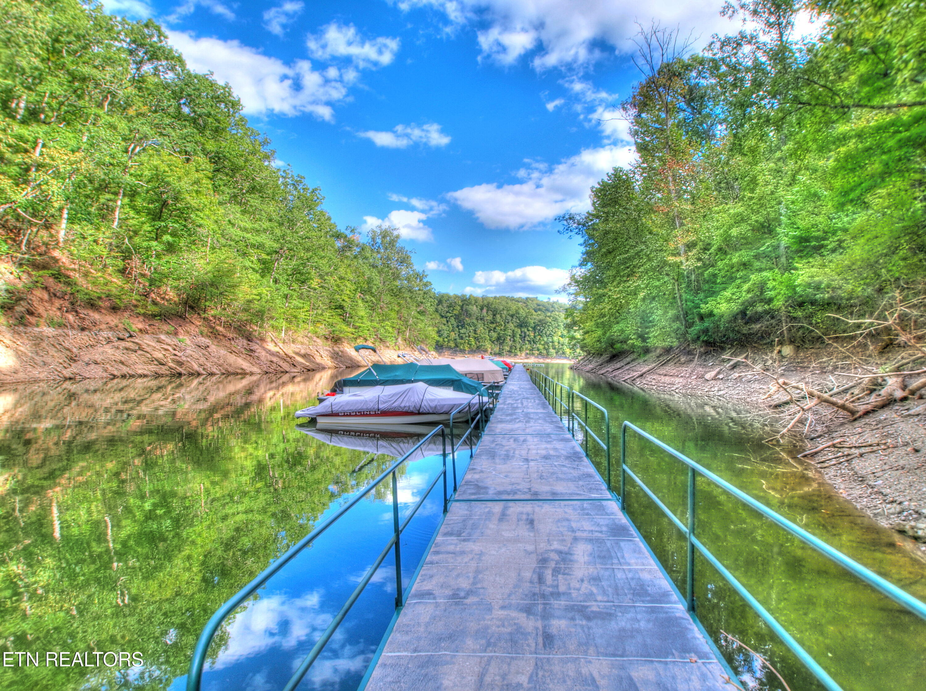 Lot 139 Whistle Valley Road New Tazewell, TN 37825 - Photo 26 of 28 Boat dock area 2