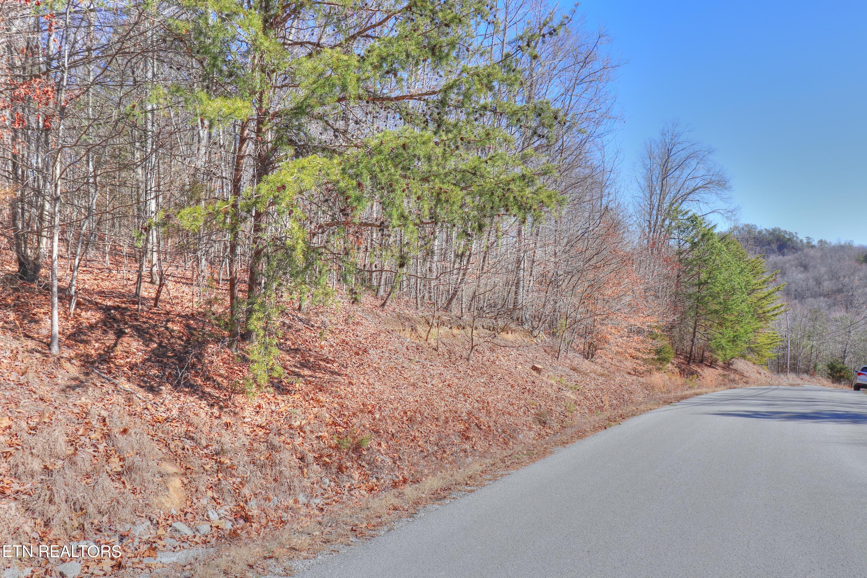 Lot 139 Whistle Valley Road New Tazewell, TN 37825 - Photo 4 of 28 Lot 139 Whistle Valley Rd