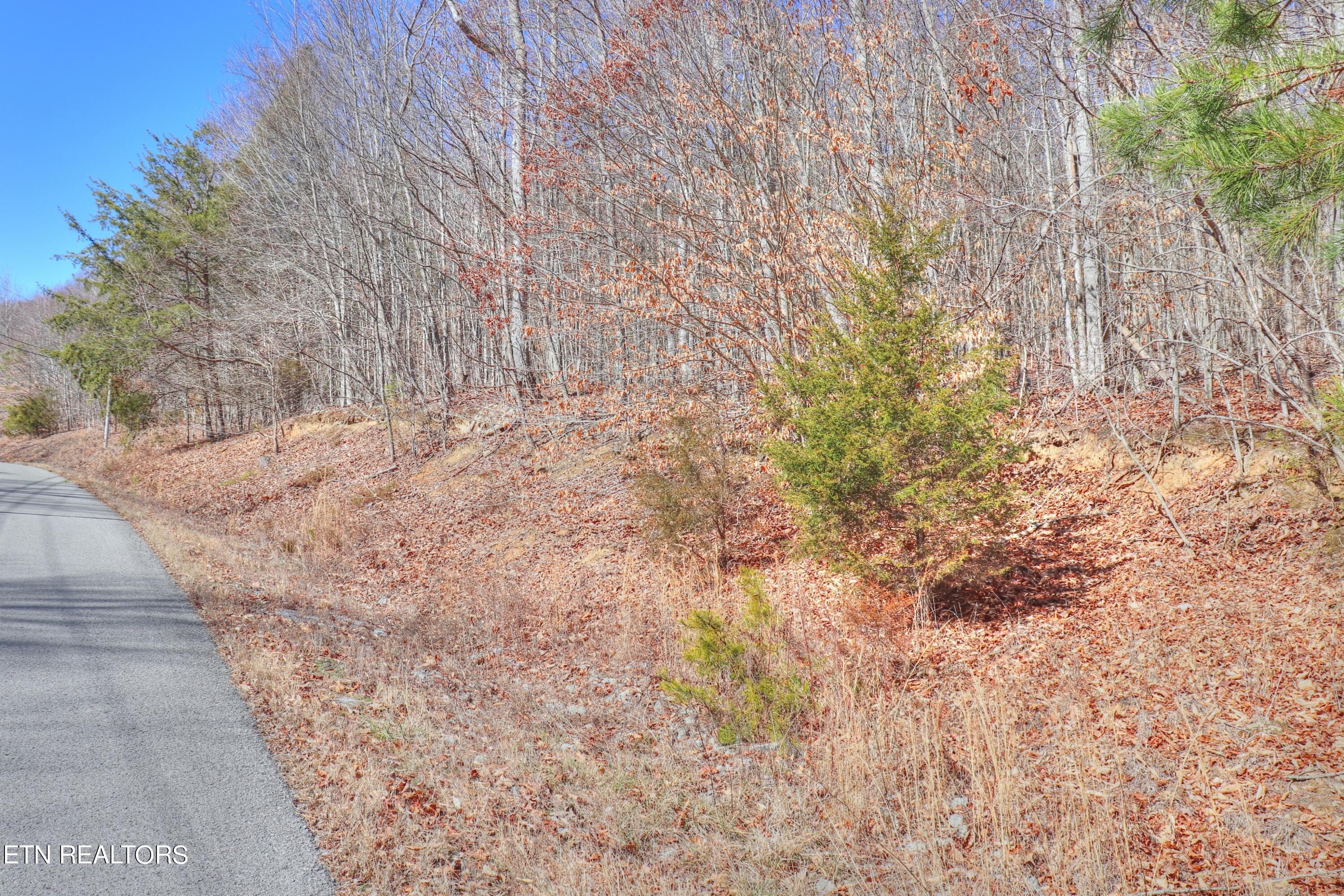 Lot 139 Whistle Valley Road New Tazewell, TN 37825 - Photo 5 of 28 Lot 139 Whistle Valley Rd