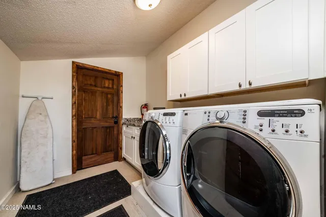 a view of a backyard with potted plants and large trees