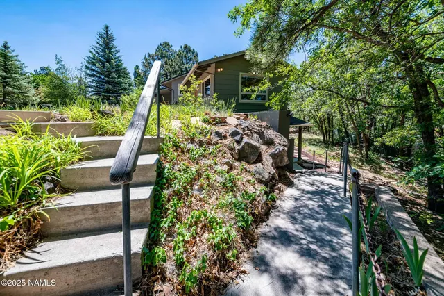 a view of a tree in a yard