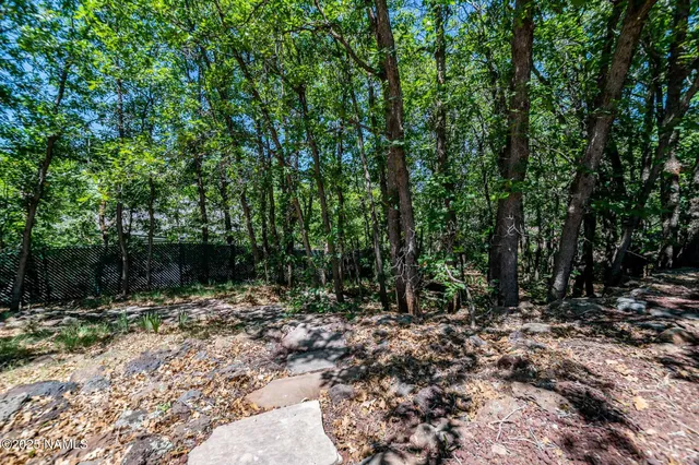 a backyard of a house