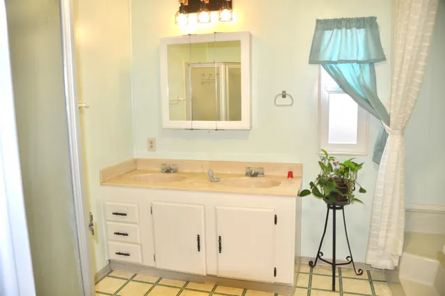 a bathroom with a sink a potted plant and a mirror