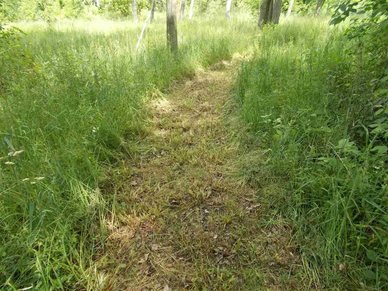 1581 Towerline Road Hale, MI 48739 - Photo 31 of 55 1889668-30.JPG