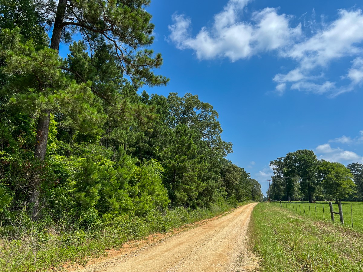 1 Fodice 2 Road Lovelady, TX 75851 - Photo 2 of 12