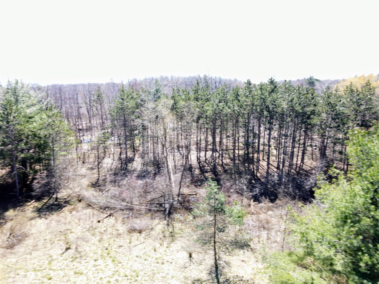 20 West A W Coe Road Shepherd, MI 48883 - Photo 5 of 15