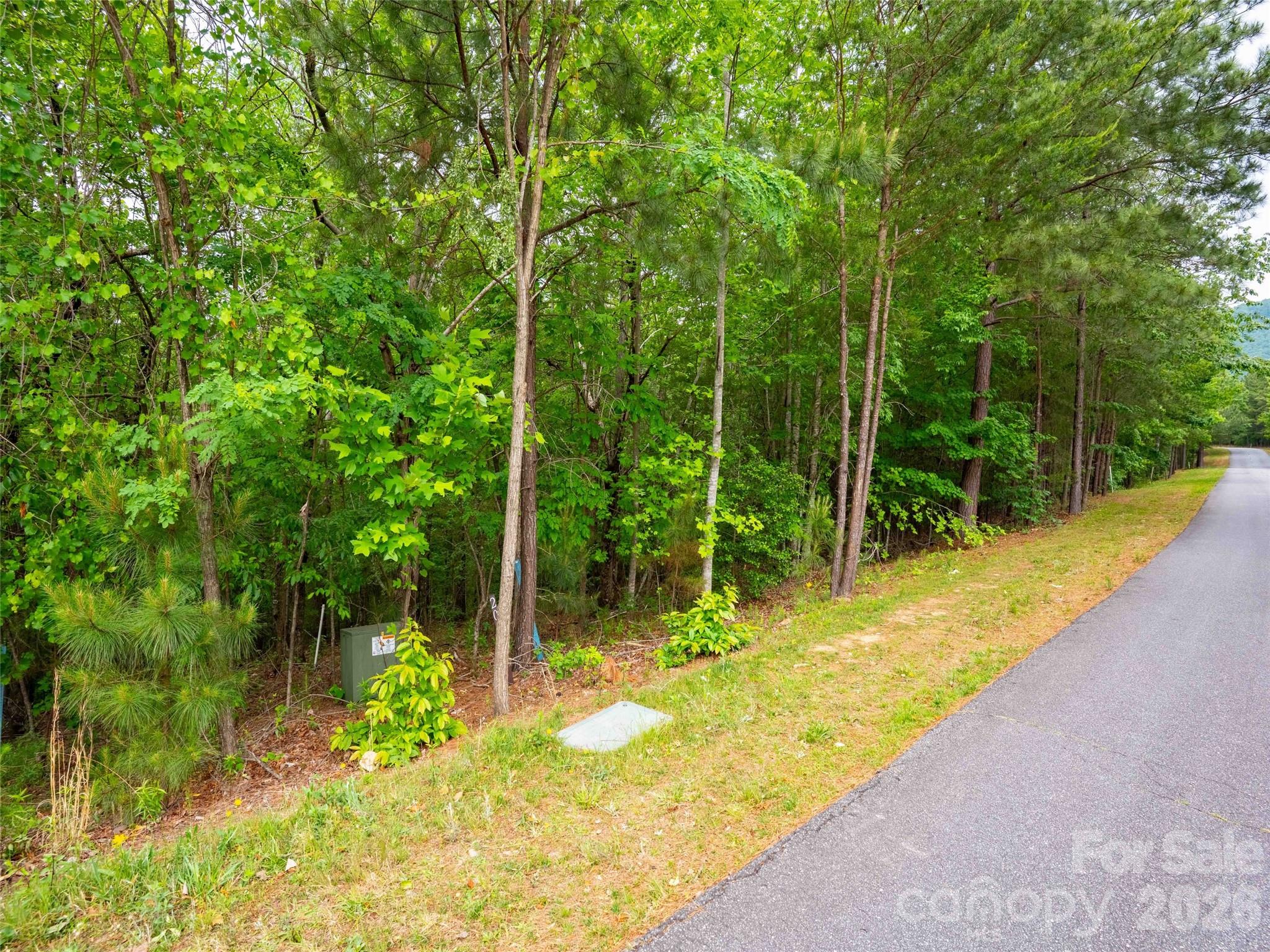 Lot 2009 Deep Gap Farm Rd Mill Spring West Mill Spring, NC 28756 - Photo 1 of 17