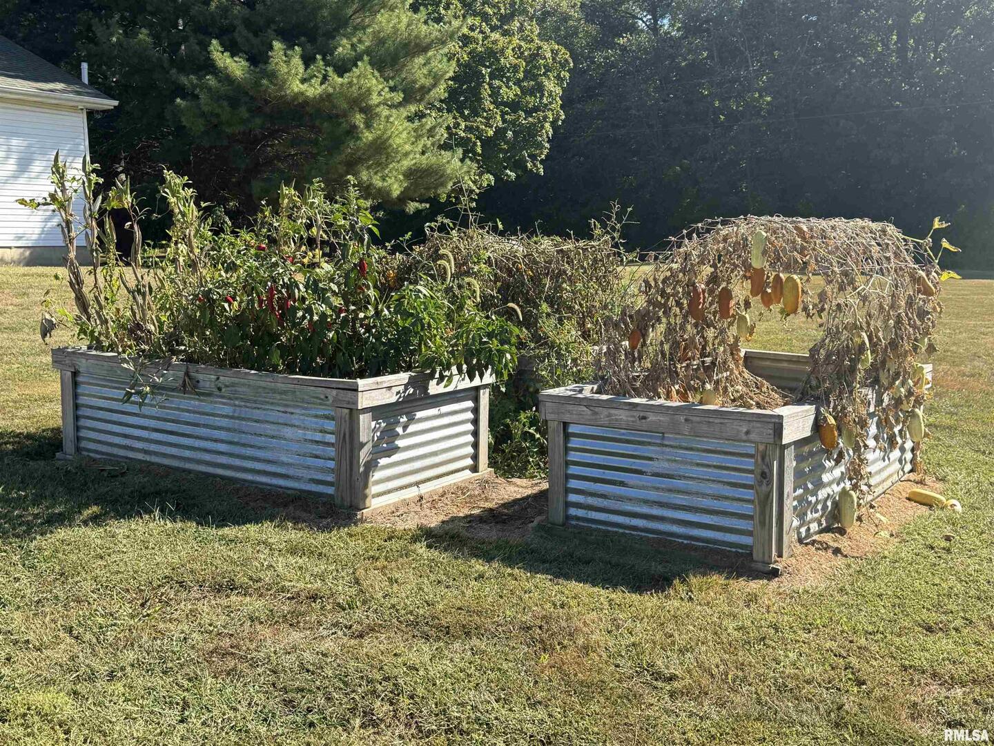 11675 East Radio Tower Road Mount Vernon, IL 62864 - Photo 52 of 71