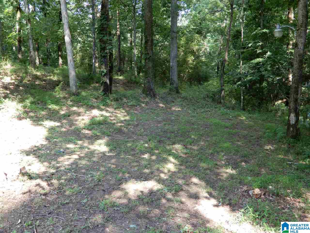 372 Stonebridge Road Birmingham, AL 35210 - Photo 3 of 17