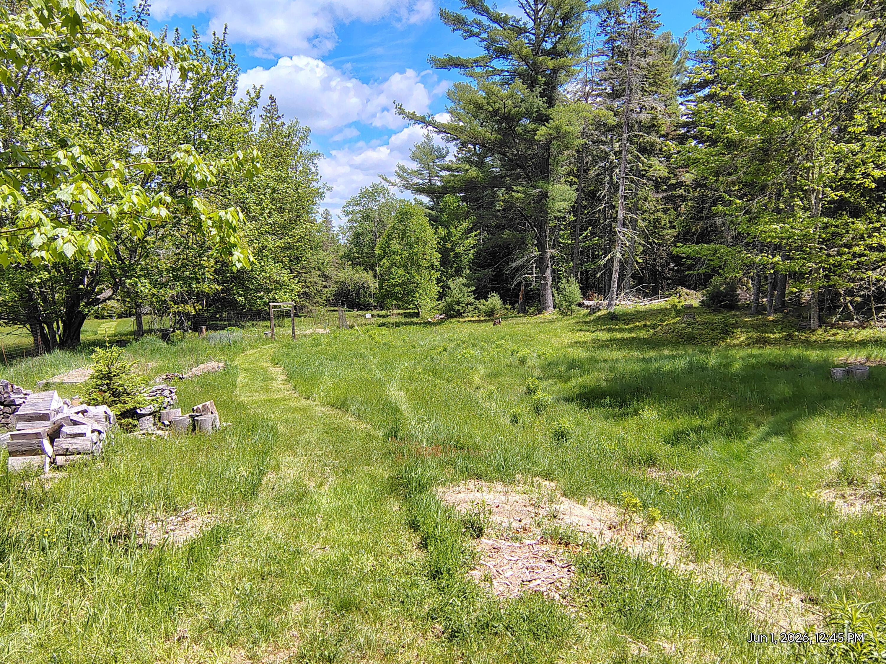 536 Point Road Hancock, ME 04640 - Photo 3 of 29 back yard