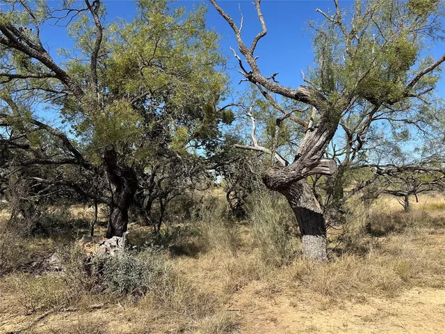 $420,000 | 11101 County Road 228, Brownwood, TX 76801