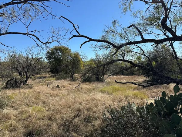 a view of a yard with trees in the background