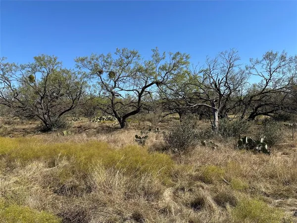 a view of a dry yard with lots of bushes