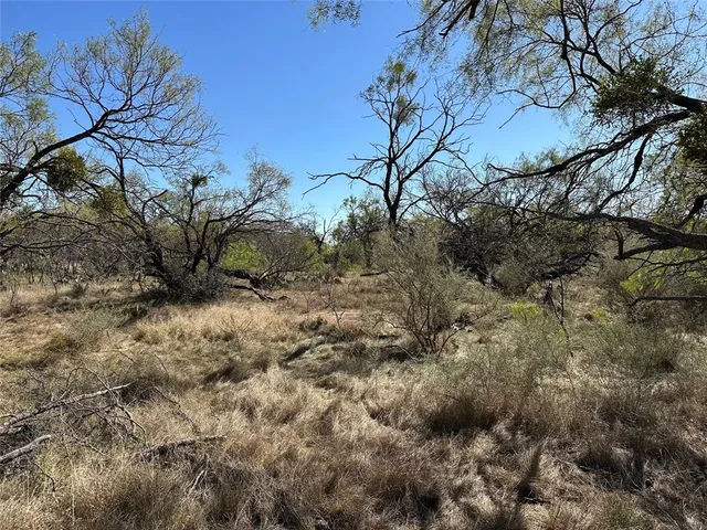 $420,000 | 11101 County Road 228, Brownwood, TX 76801