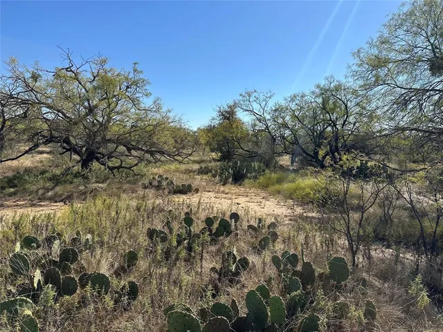 $420,000 | 11101 County Road 228, Brownwood, TX 76801