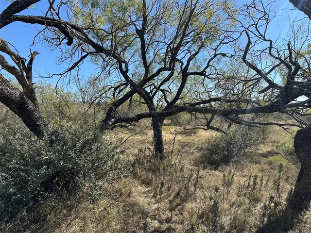 $420,000 | 11101 County Road 228, Brownwood, TX 76801