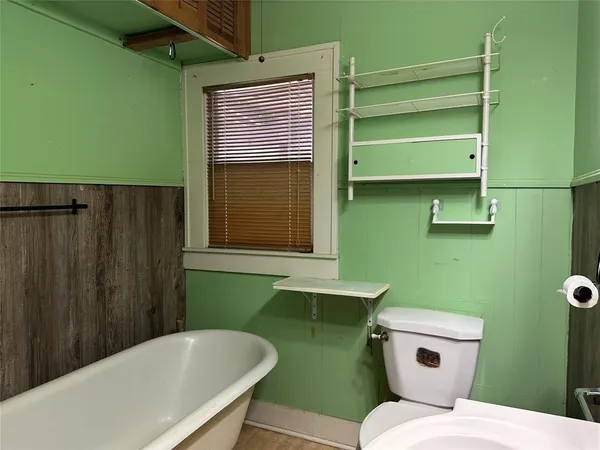 a view of a forest with trees in the background