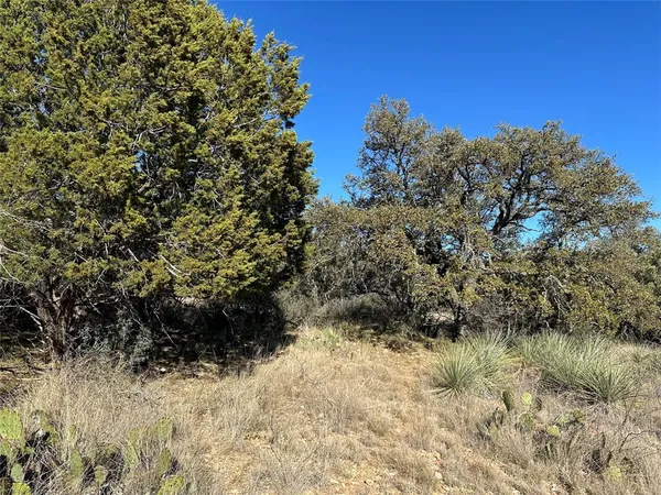 a view of a dry yard with mountains in the background