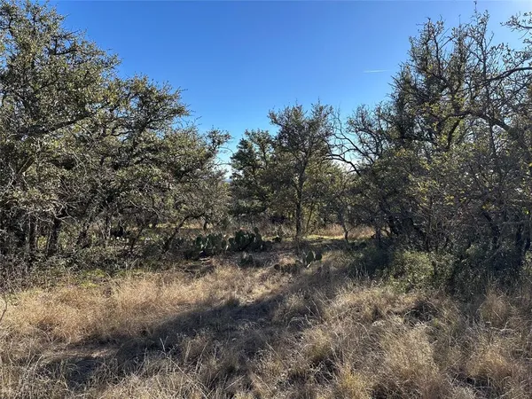 a view of a dry yard with lots of trees