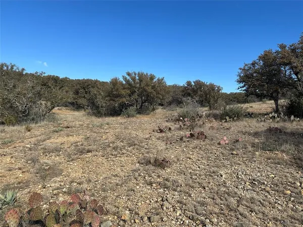 a view of bushes and trees