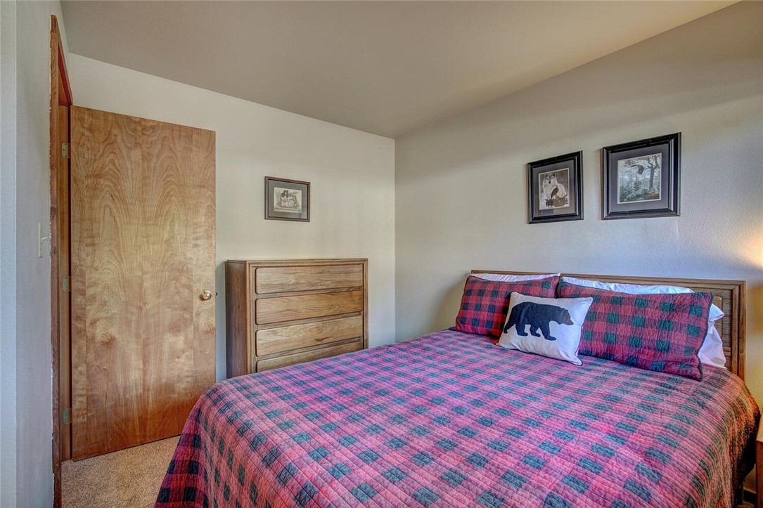 9401 Ryan Gulch Road, Unit 4 Silverthorne, CO 80498 - Photo 17 of 26 Gallery Image 17