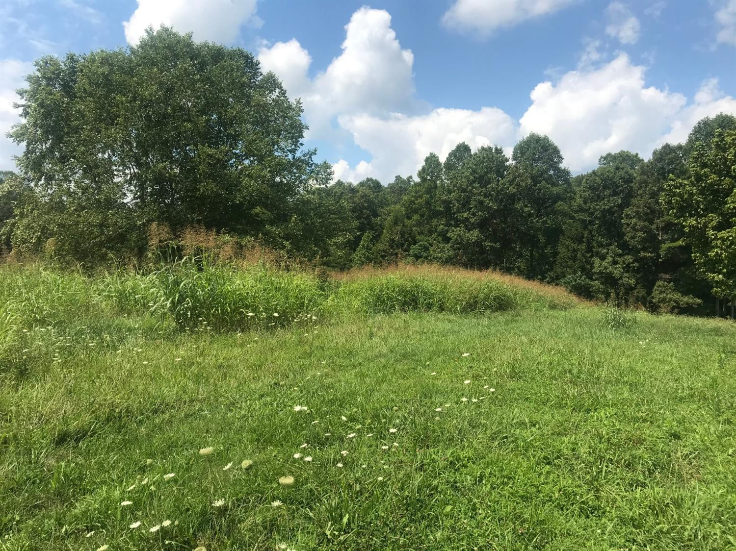 467 Whitson School Road London, KY 40741 - Photo 6 of 16 Photo 6