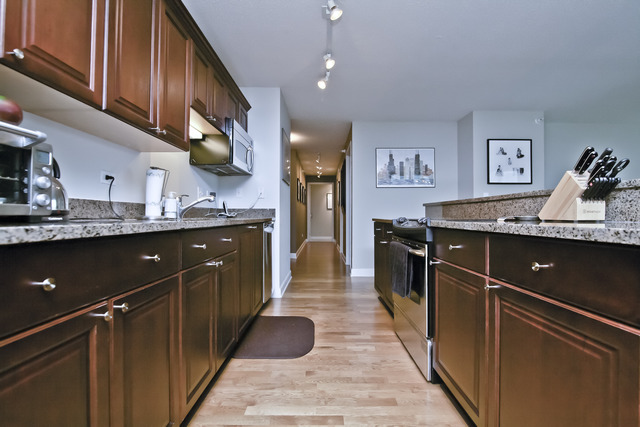 2 East Erie Street, Unit 1611 Chicago, IL 60611 - Photo 5 of 12 a kitchen with stainless steel appliances granite countertop sink stove and cabinets