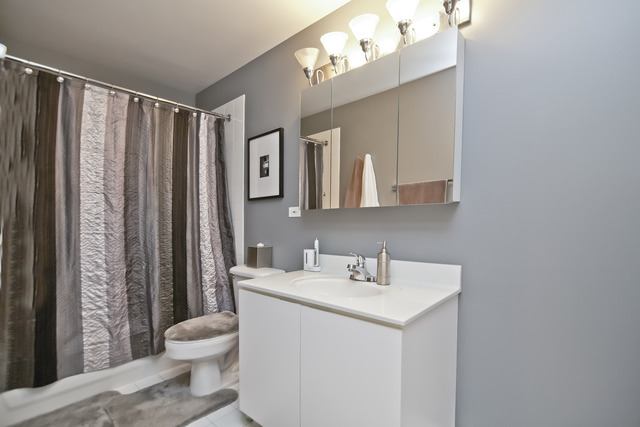2 East Erie Street, Unit 1611 Chicago, IL 60611 - Photo 9 of 12 a bathroom with a sink vanity mirror and toilet