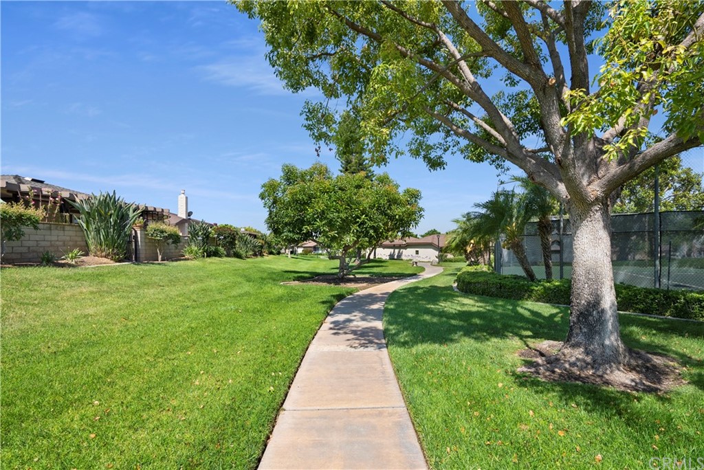 5965 Maybrook Circle Riverside, CA 92506 - Photo 33 of 34 a view of green garden