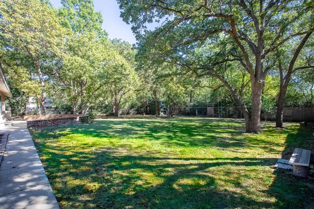 a view of a backyard with large trees