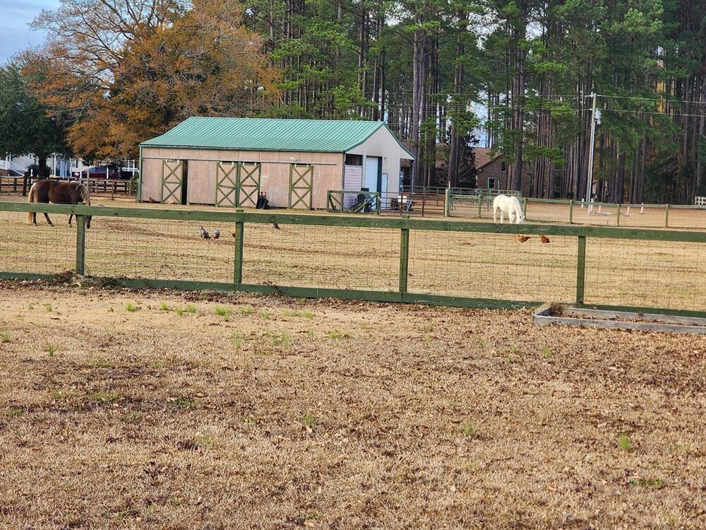 169 Trudy Lane St. George, SC 29477 - Photo 35 of 41 20241215_161835