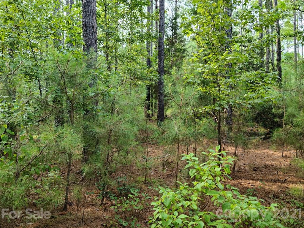 5028 Townsend Road, Unit 26/PHASE 1 Lancaster, SC 29720 - Photo 2 of 13 Gallery Image 2