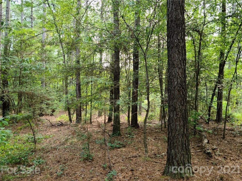 5028 Townsend Road, Unit 26/PHASE 1 Lancaster, SC 29720 - Photo 3 of 13 Gallery Image 3