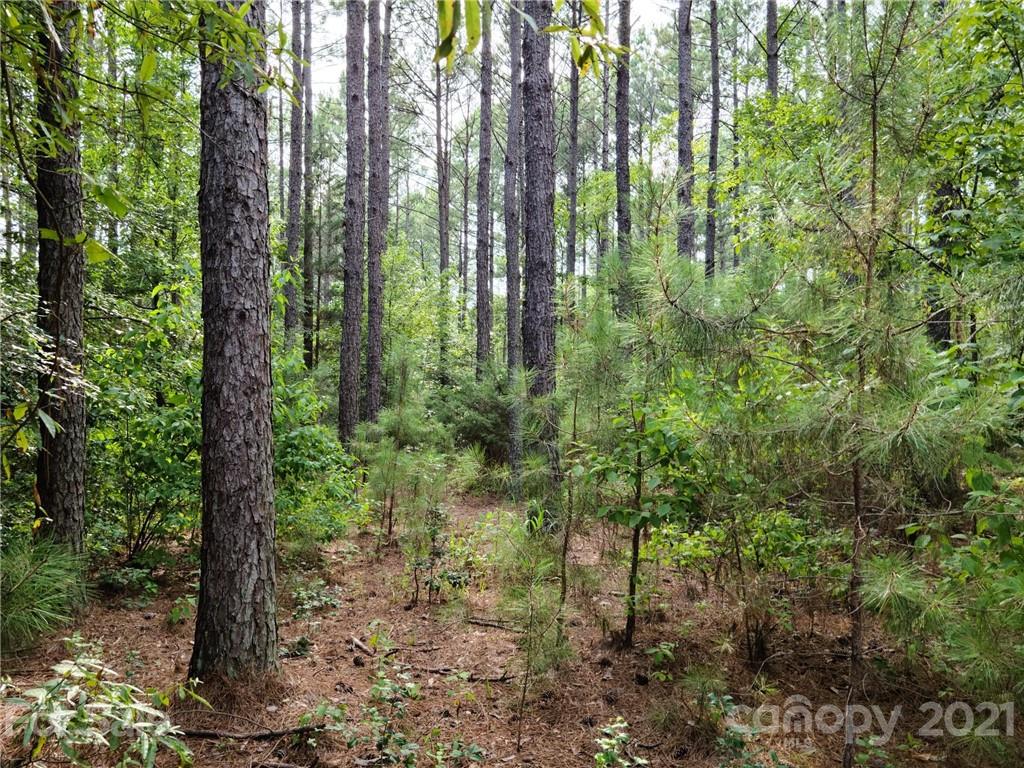 5028 Townsend Road, Unit 26/PHASE 1 Lancaster, SC 29720 - Photo 4 of 13 Gallery Image 4