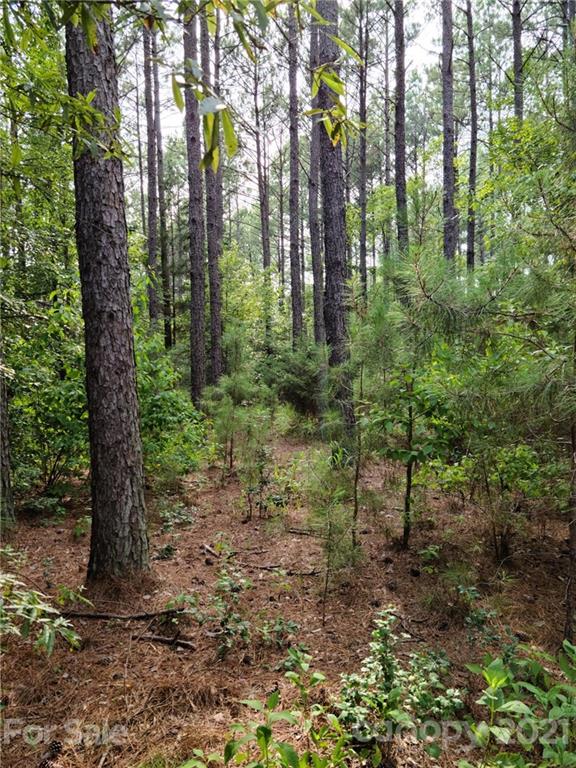 5028 Townsend Road, Unit 26/PHASE 1 Lancaster, SC 29720 - Photo 5 of 13 Gallery Image 5