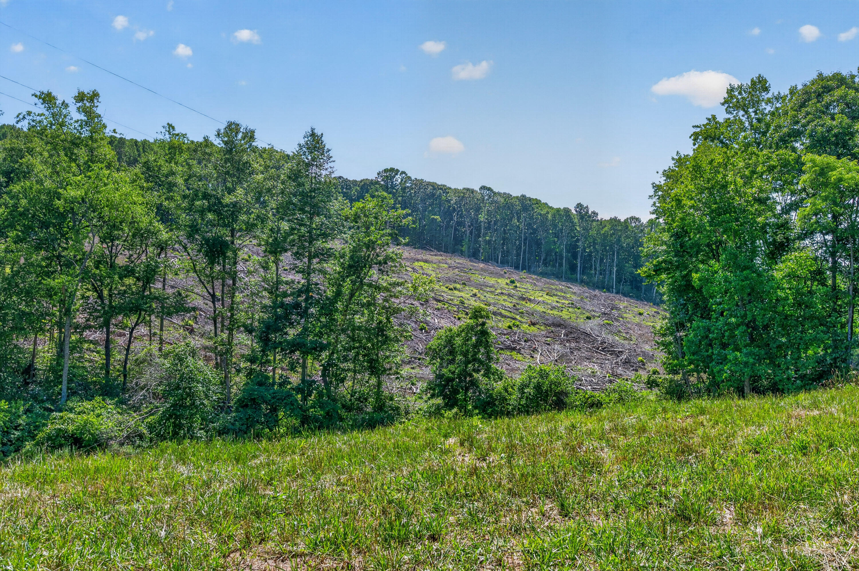 6196 Chances Creek Road Fancy Gap, VA 24328 - Photo 68 of 78 69