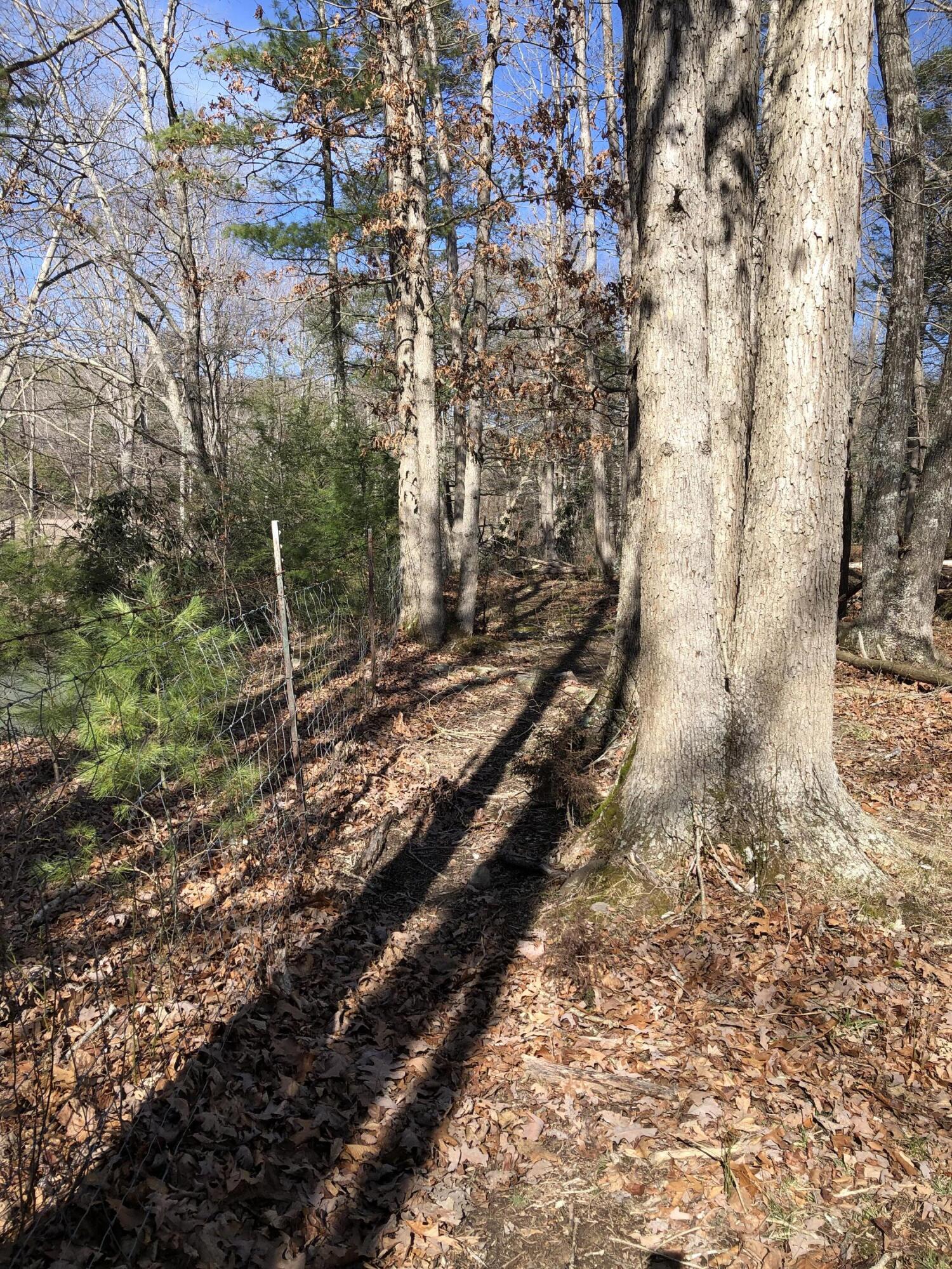 0 Potts Creek Road Covington, VA 24426 - Photo 14 of 22 a view of a yard with trees