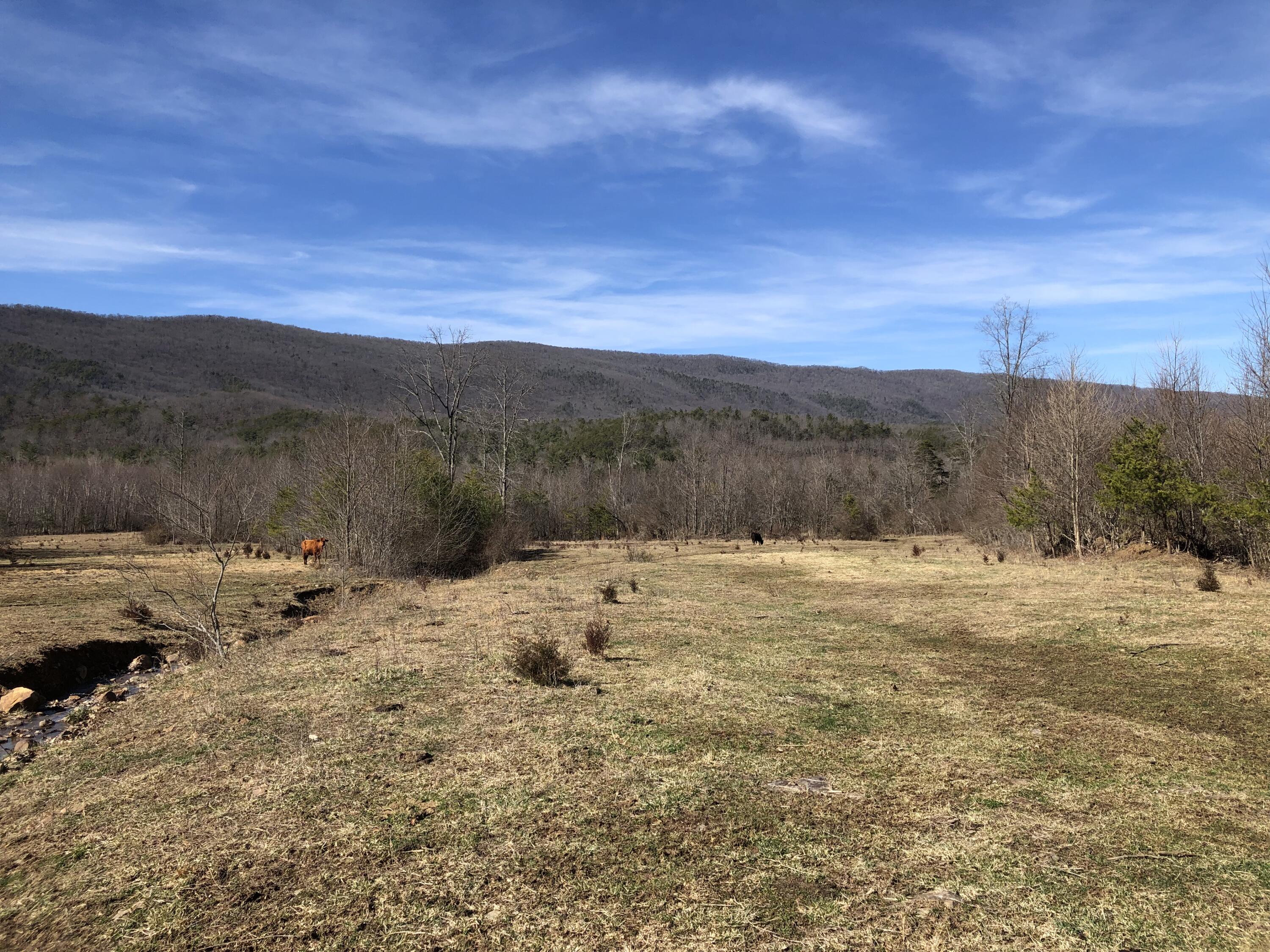 0 Potts Creek Road Covington, VA 24426 - Photo 15 of 22 a view of a dry yard with mountains in the background