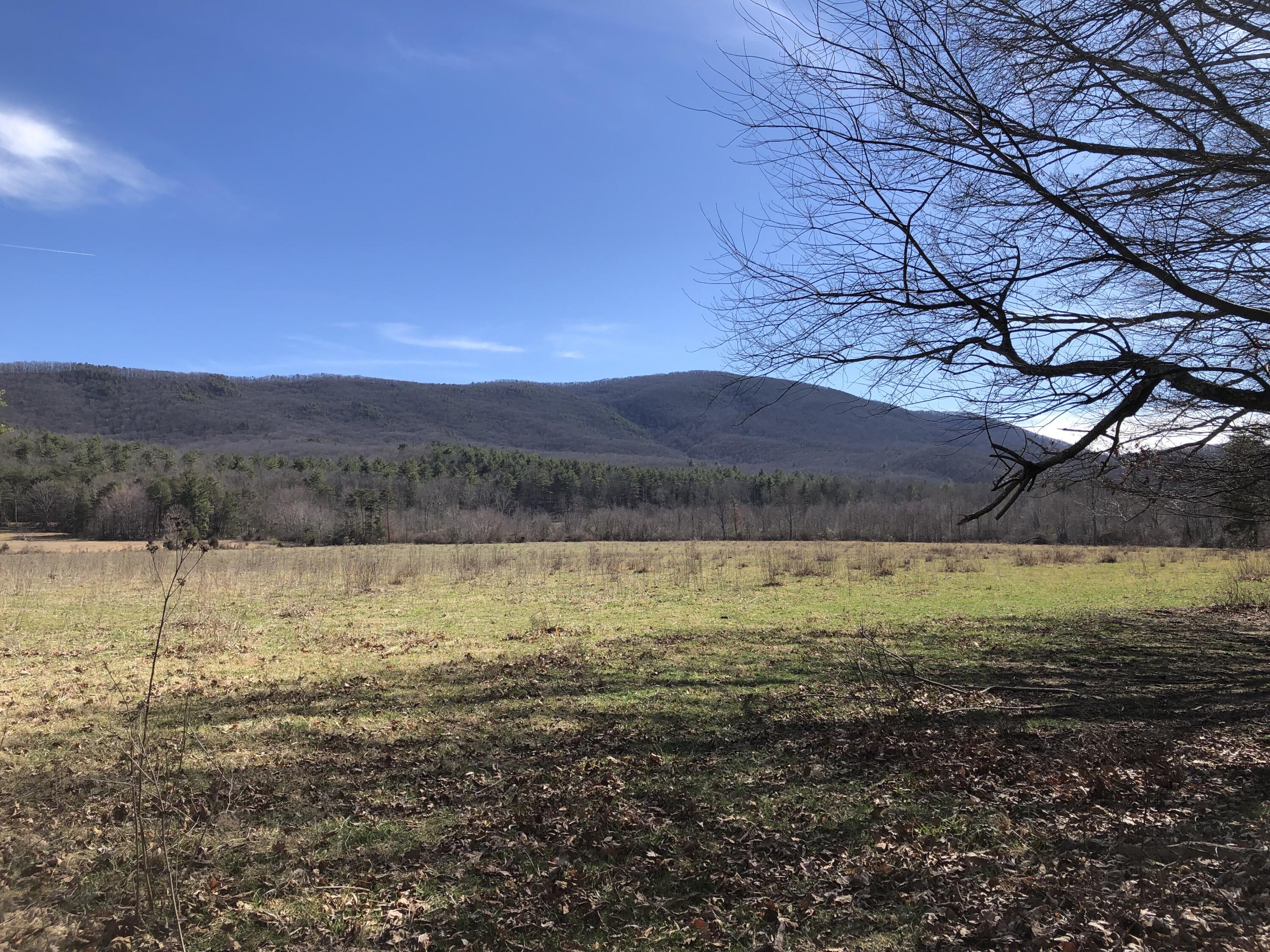 0 Potts Creek Road Covington, VA 24426 - Photo 17 of 22 a view of an ocean from a yard