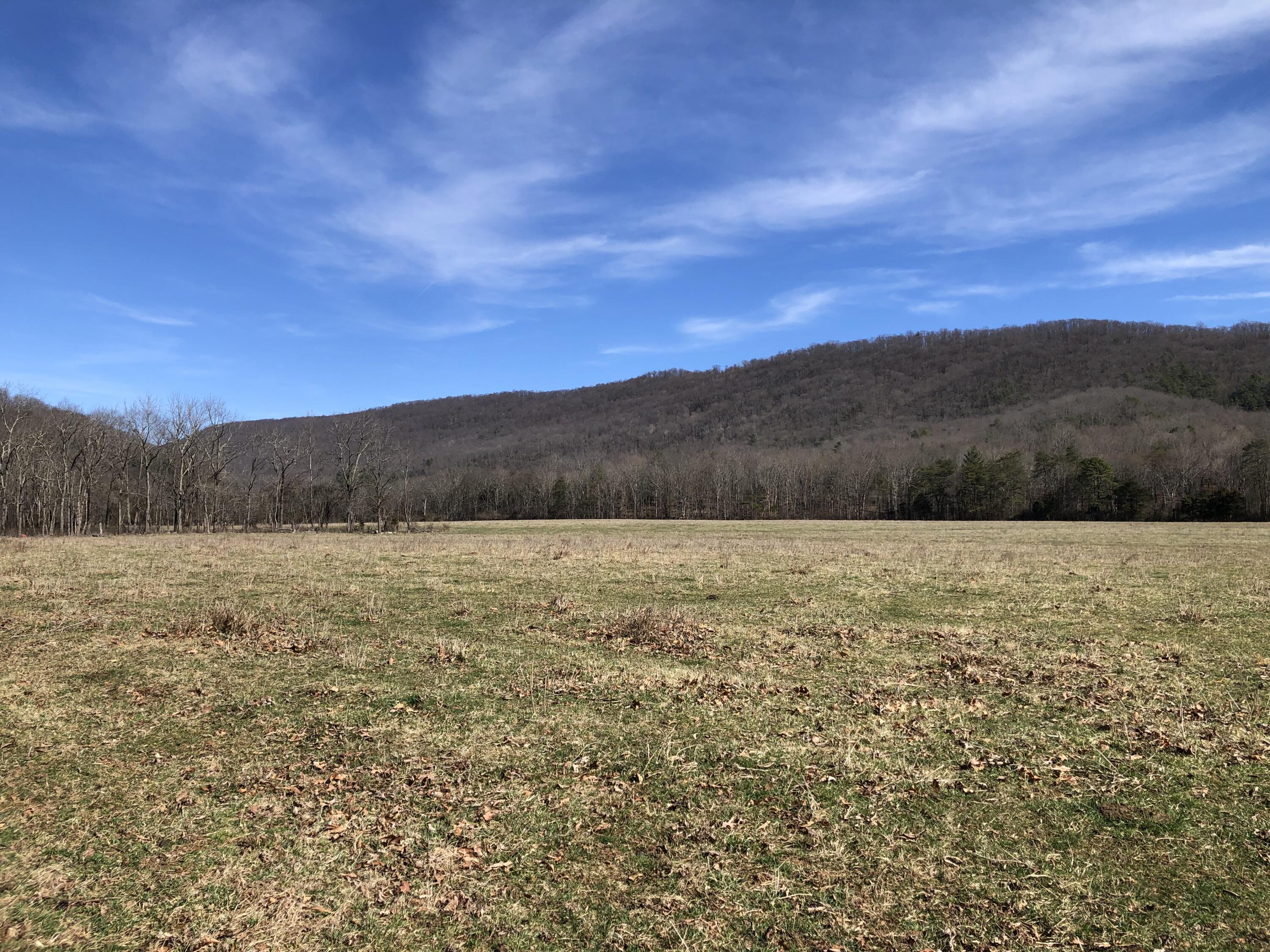 0 Potts Creek Road Covington, VA 24426 - Photo 18 of 22