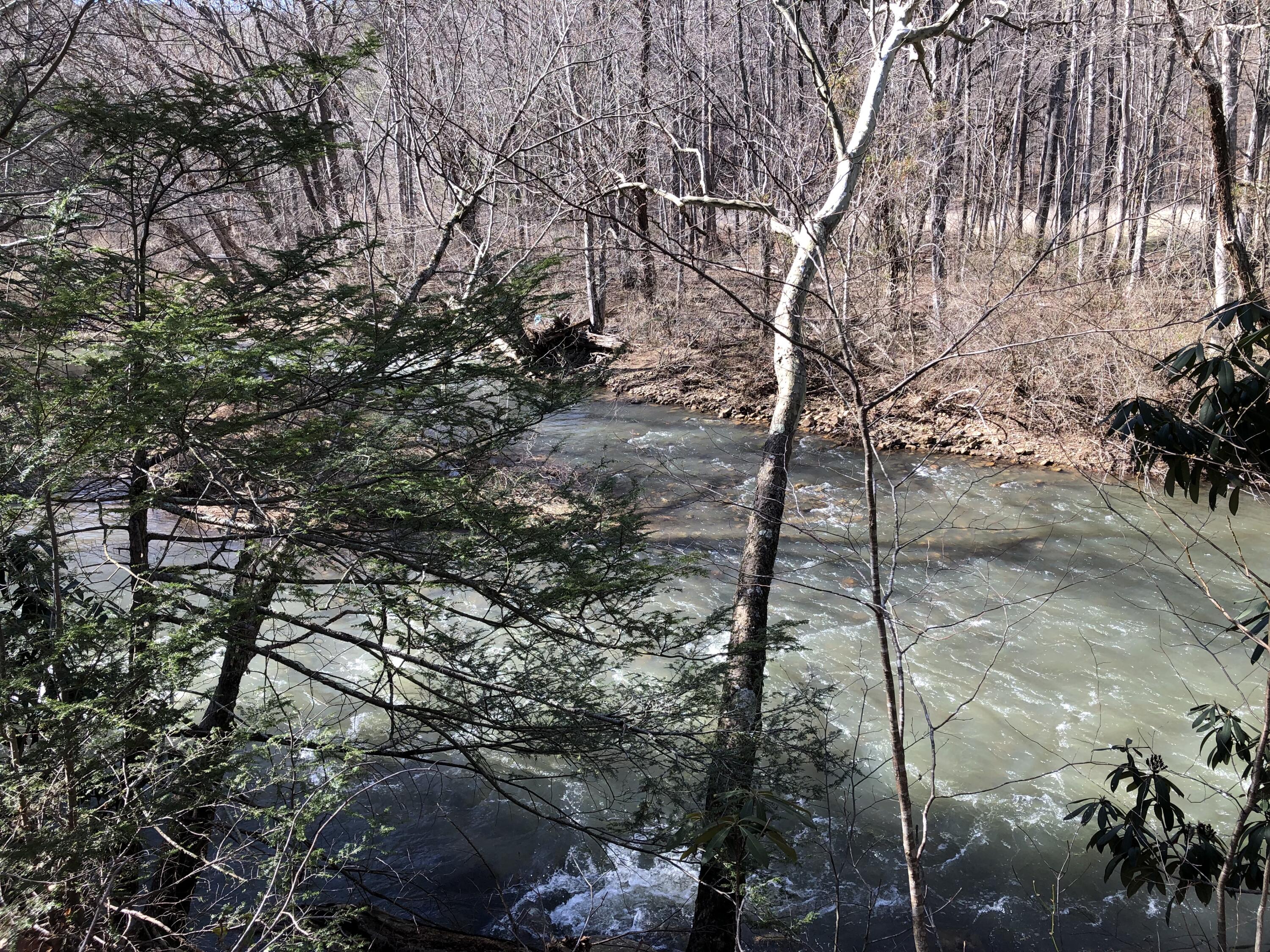 0 Potts Creek Road Covington, VA 24426 - Photo 20 of 22 a backyard of a house with lots of trees