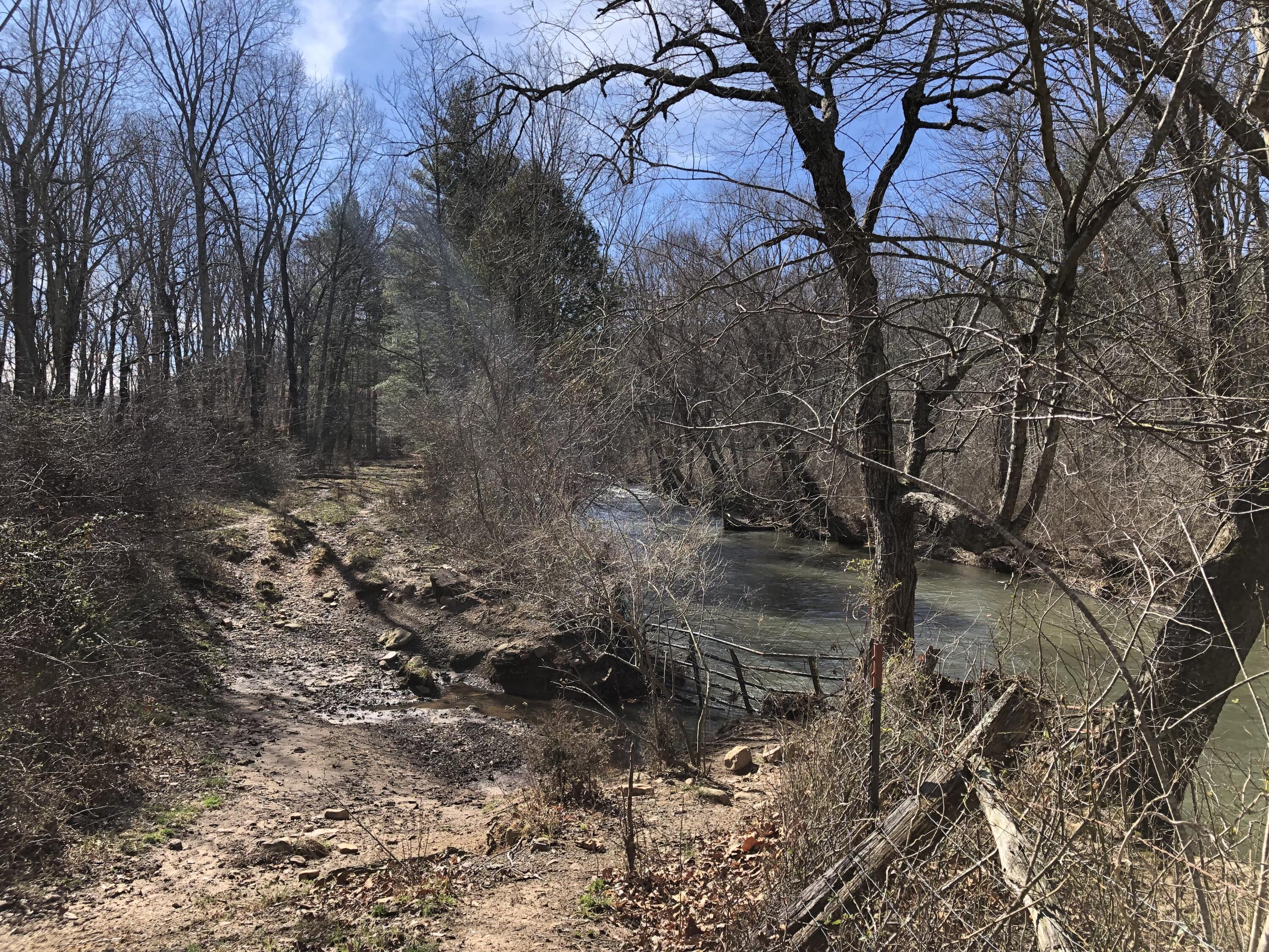 0 Potts Creek Road Covington, VA 24426 - Photo 21 of 22 a backyard of a house with lots of green space