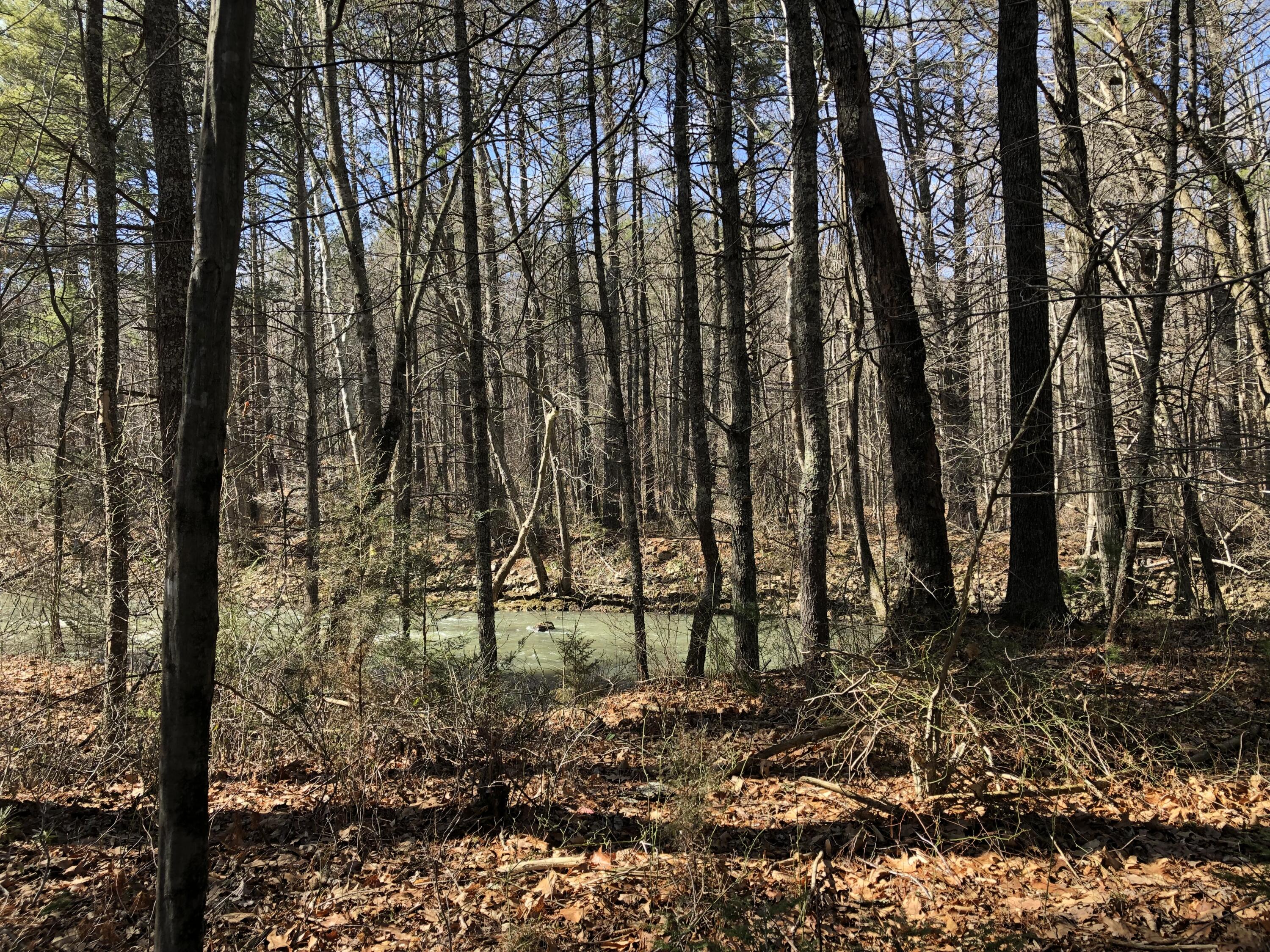 0 Potts Creek Road Covington, VA 24426 - Photo 22 of 22 a backyard of a house with lots of green space
