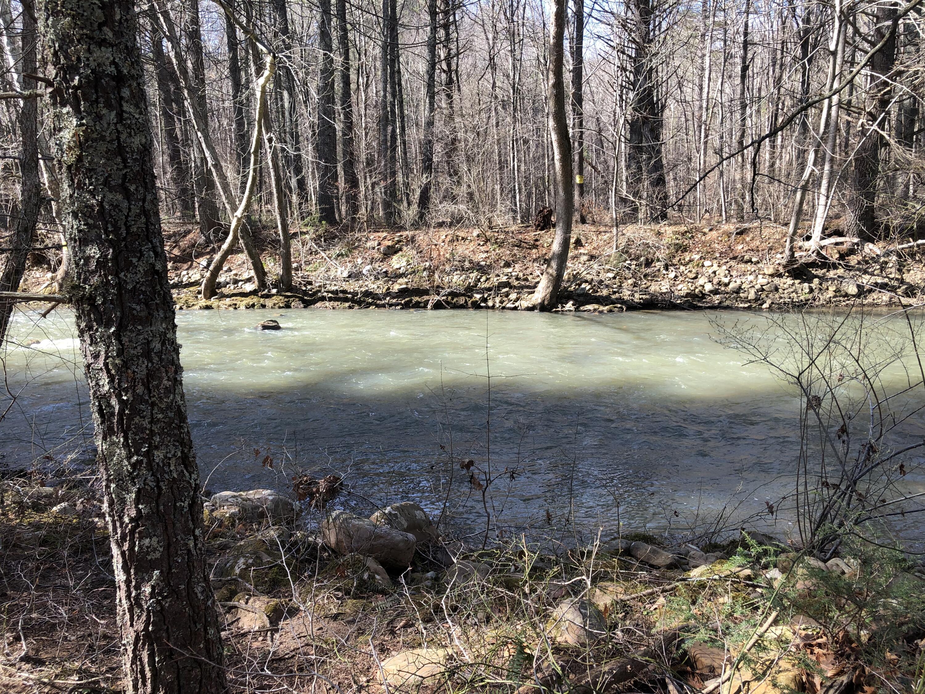 0 Potts Creek Road Covington, VA 24426 - Photo 3 of 22 a view of water body with water