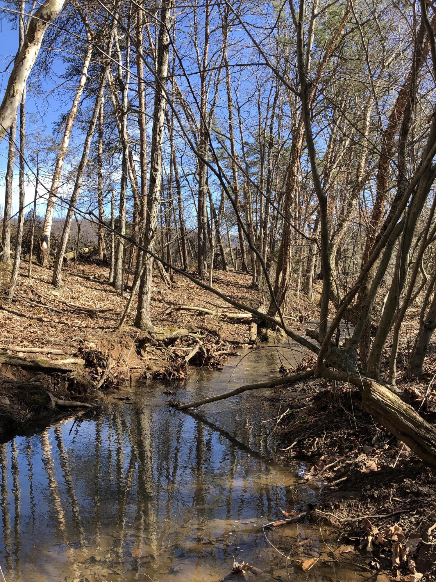 0 Potts Creek Road Covington, VA 24426 - Photo 4 of 22 a view of outdoor space with sitting area
